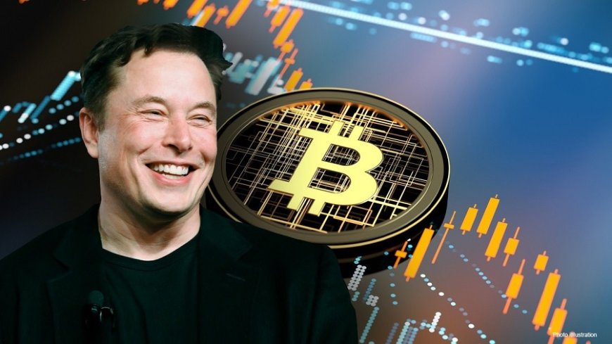 Elon Musk Backs Pro-Bitcoin Canadian PM Candidate Amid Rising Crypto Advocacy