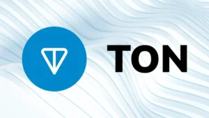 Why Venture Capitalists Are Bullish on the TON Token